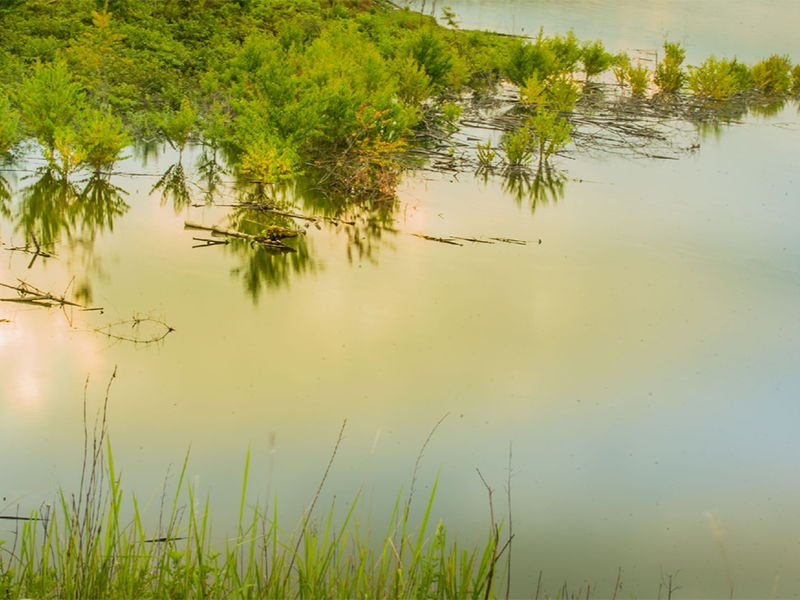 生物毒性檢測(cè)儀的測(cè)定方法 生物毒性檢測(cè)儀的測(cè)定方法