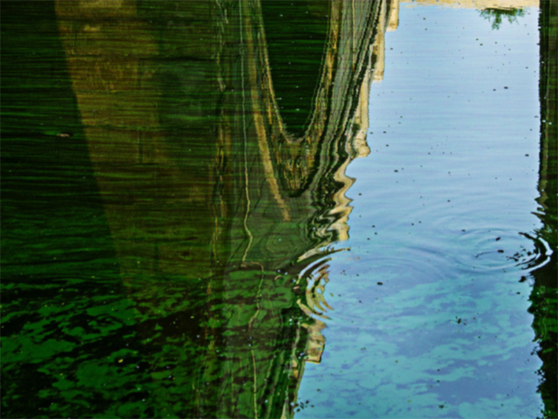 水質(zhì)氨氮超標怎樣處理 水質(zhì)氨氮超標怎樣處理