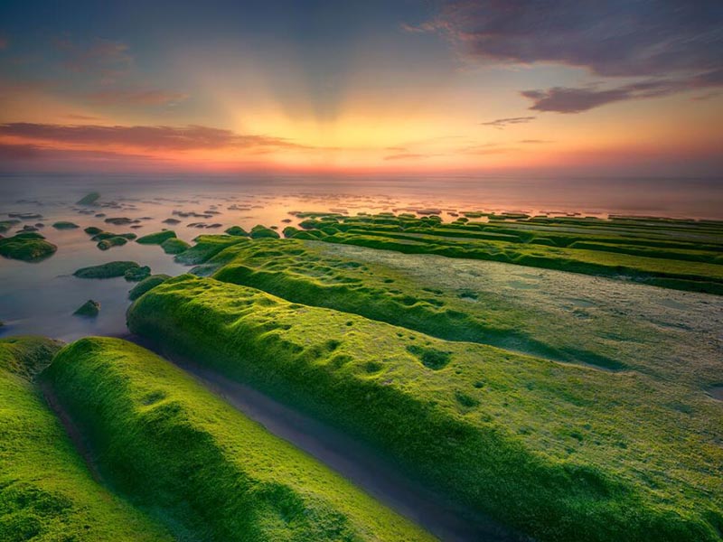 高錳酸鹽指數和COD的關系