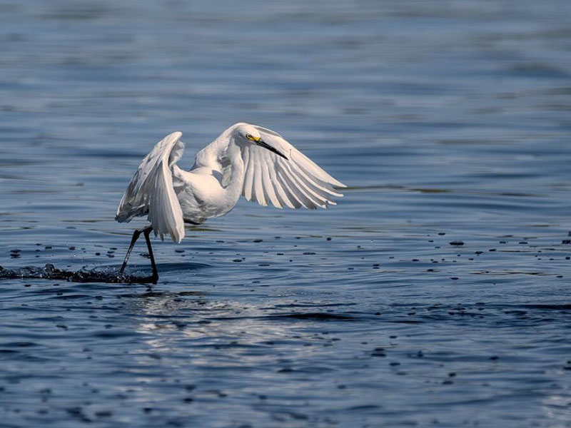 便攜式多參數水質檢測儀多少錢
