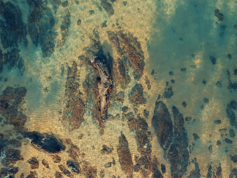 全自動紅外測油儀原理（全自動紅外測油儀使用注意事項）