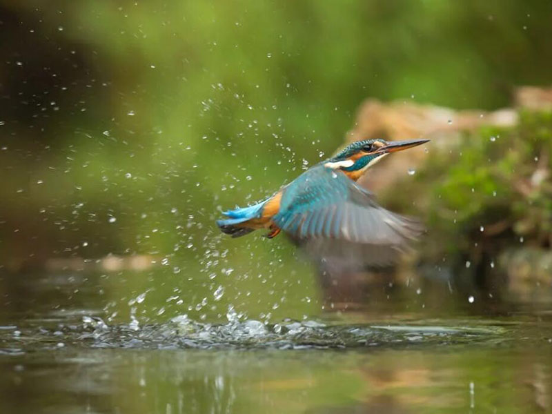 總氮測定儀工作原理（總氮測定儀使用方法）