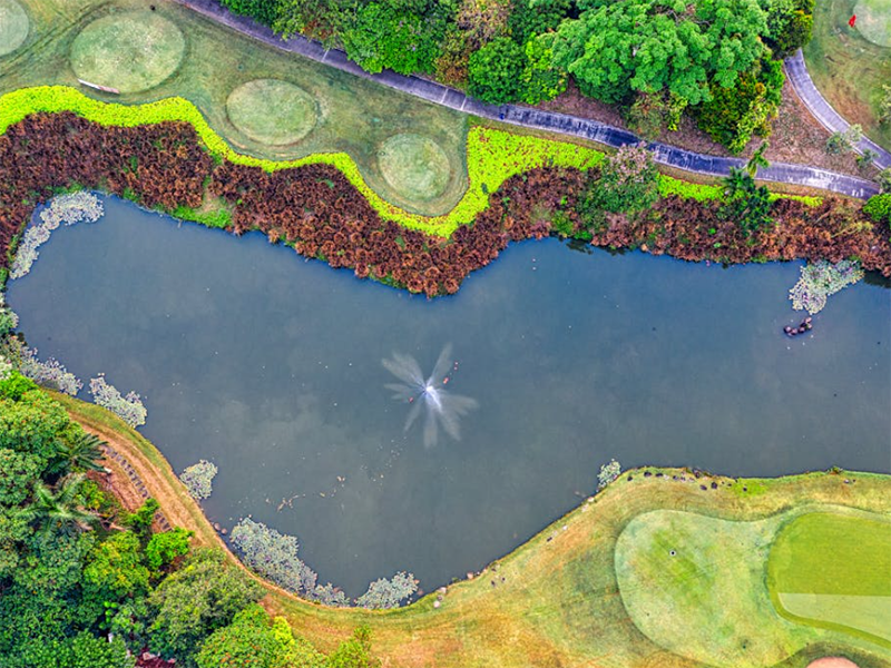水質氰化物測定儀使用條件要求(水質氰化物測定儀原理)